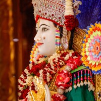 Daily Darshan